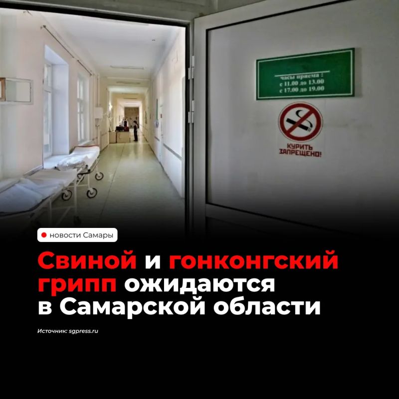 Этой осенью и зимой в Самарской области ожидают циркуляцию свиного и гонконгского гриппа, а также вируса типа Б. Роспотребнадзор рекомендует вакцинацию с сентября по ноябрь, особенно пожилым, беременным, детям и людям с...