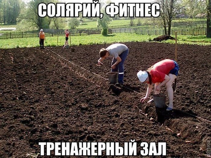 Секреты дачников и огромный урожай