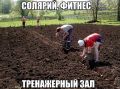Секреты дачников и огромный урожай