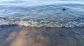 В Самаре на реке Татьянке столкнулись две моторные лодки 24 сентября