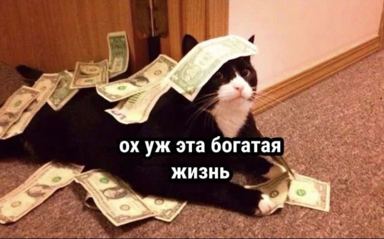 Медианный доход в Самарской области составил 61 221 рубль