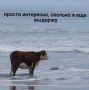 В Самарской области жарко и солнечно