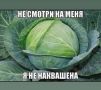 ����-�����, ���������� ��������� � ������ ������