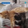 ��������� �������. ������� ������, ��� � ��� ����� ��������� � �������� ���� �����! �������� � ������������ ������������ ����� �������� ��������