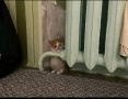 ������� ������ ������: � ��������� ������� ���������� �� -2 ��������