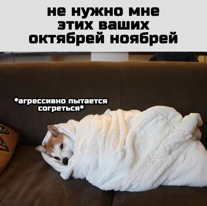 Заморозки до -2: прогноз погоды на последние деньки сентября