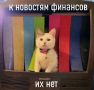 5 �������� ������, ������� ��������� ������� ���� ��������