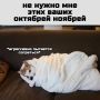 Заморозки до -2: прогноз погоды на последние деньки сентября