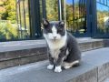 Доброе утро!. 29 сентября воздух прогреется до +17...+22 °C Синоптики прогнозируют малооблачную погоду, без осадков Ветер восточный, северо-восточный, 3...8 м/с ГТРК Самара ТГ lВК lОК lСАЙТ