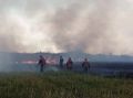 Возгорание на прилегающей к Безенчукскому лесничеству территории ликвидировано