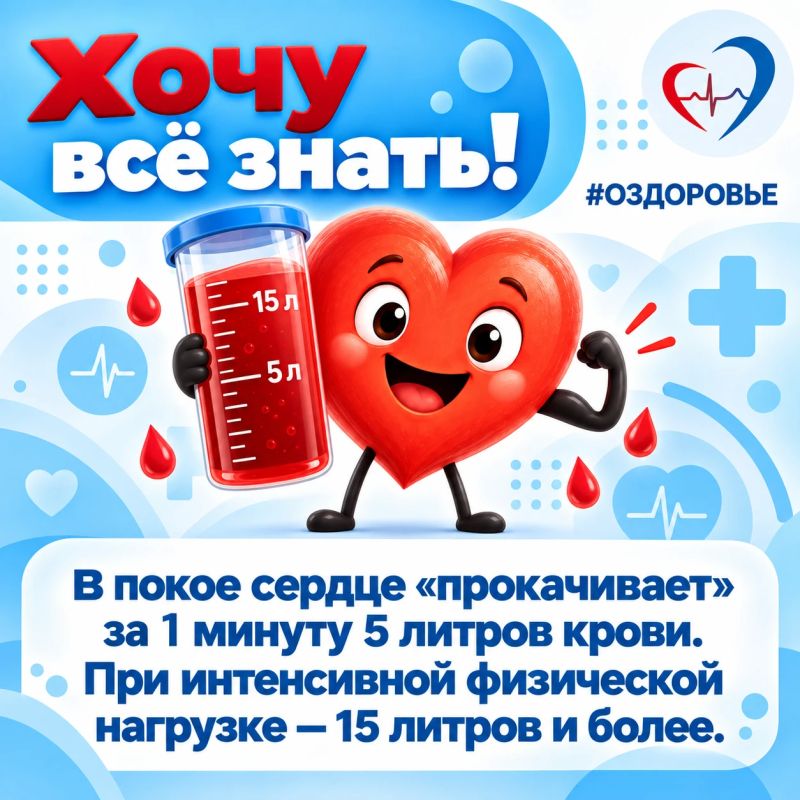 10 интересных фактов о сердечно-сосудистой системе 10 интересных фактов о сердечно-сосудистой системе