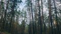 В Самарской области объявлен жёлтый уровень опасности