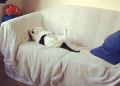5 упражнений, которые можно делать, не вставая с кровати