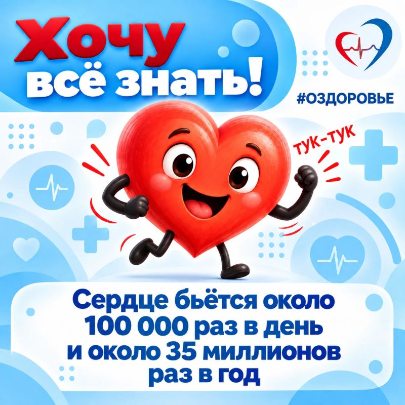 10 интересных фактов о сердечно-сосудистой системе 10 интересных фактов о сердечно-сосудистой системе