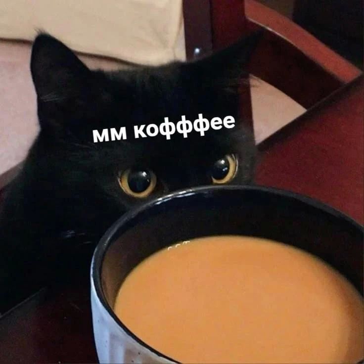 Сыр, яйцо и щепотка соли: как пьют кофе в разных странах?