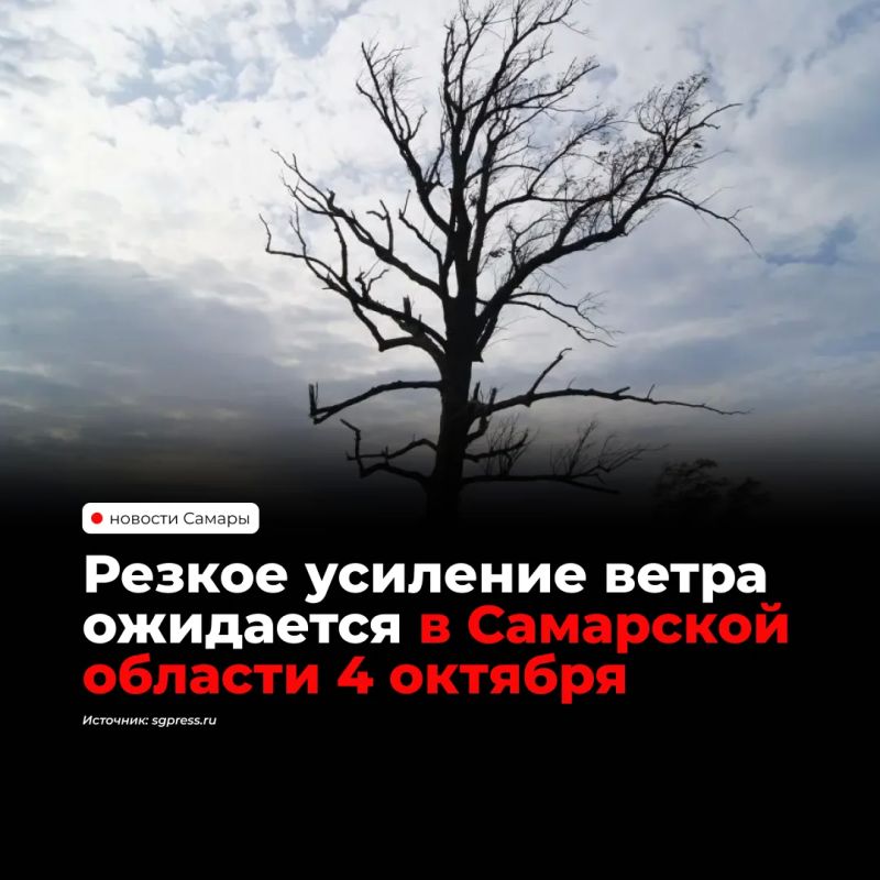 4 октября в Самарской области ожидается резкое усиление ветра — днем местами порывы северо-западного направления будут достигать 15-18 метров в секунду