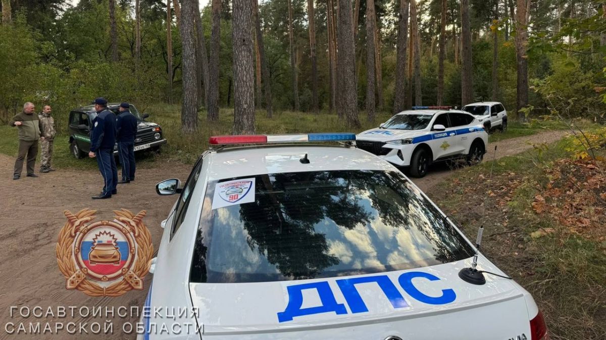 Рейды в городских лесах продолжаются Рейды в городских лесах продолжаются
