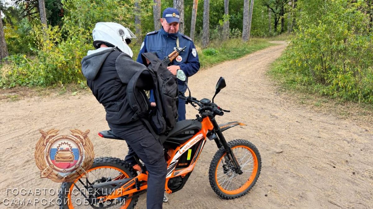 Рейды в городских лесах продолжаются Рейды в городских лесах продолжаются