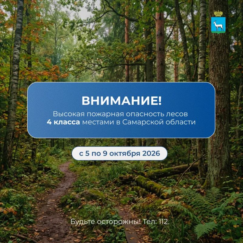 С 5 по 9 октября в Самарской области местами объявлена высокая пожарная опасность лесов 4 класса