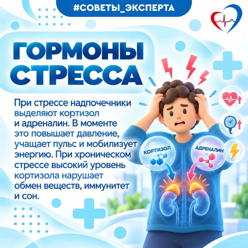 Врач рассказал, как стресс действует на здоровье и почему им важно управлять Врач рассказал, как стресс действует на здоровье и почему им важно управлять