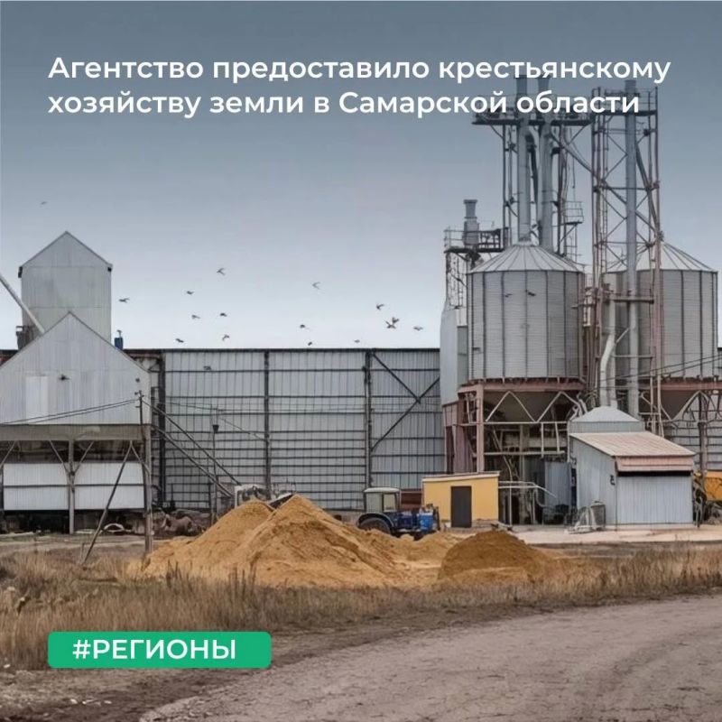 ТУ Росимущества в Самарской области предоставило крестьянскому (фермерскому) хозяйству «Подсолнух» в аренду земельные участки площадью 750 655 кв. м, 1 576 643 кв. м и 1 662 080 кв. м.