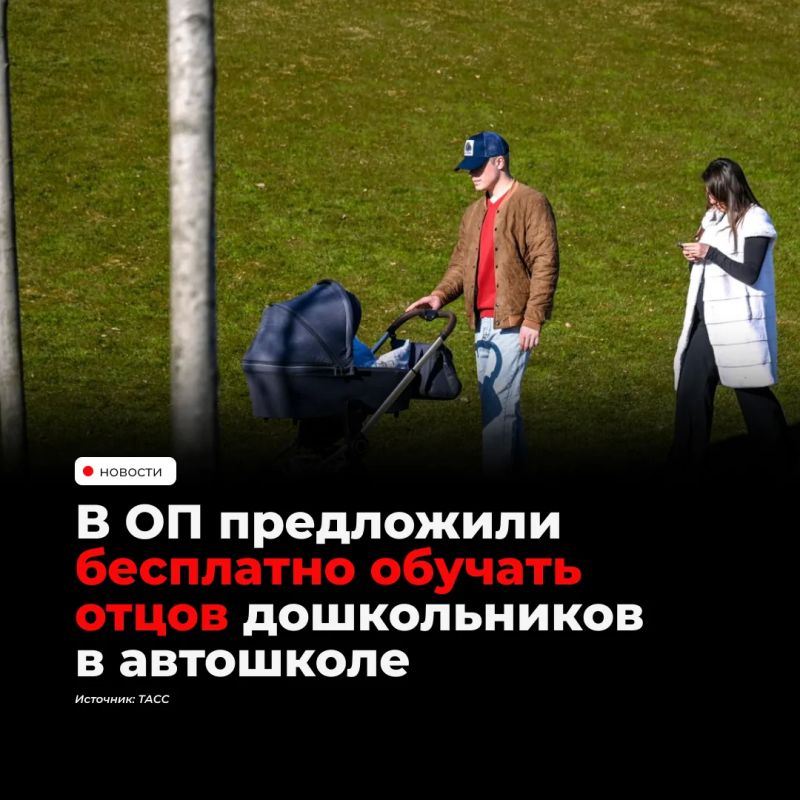 В Общественной палате России предложили бесплатно или на льготных условиях обучать в автошколах отцов детей дошкольного возраста
