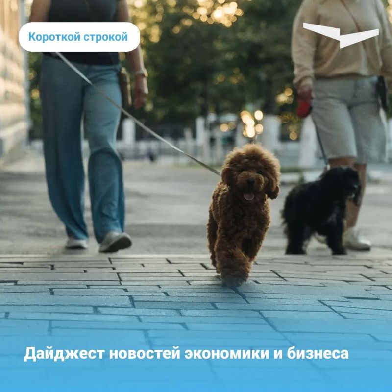 Продажи премиального шоколада в России выросли в 1,6 раза