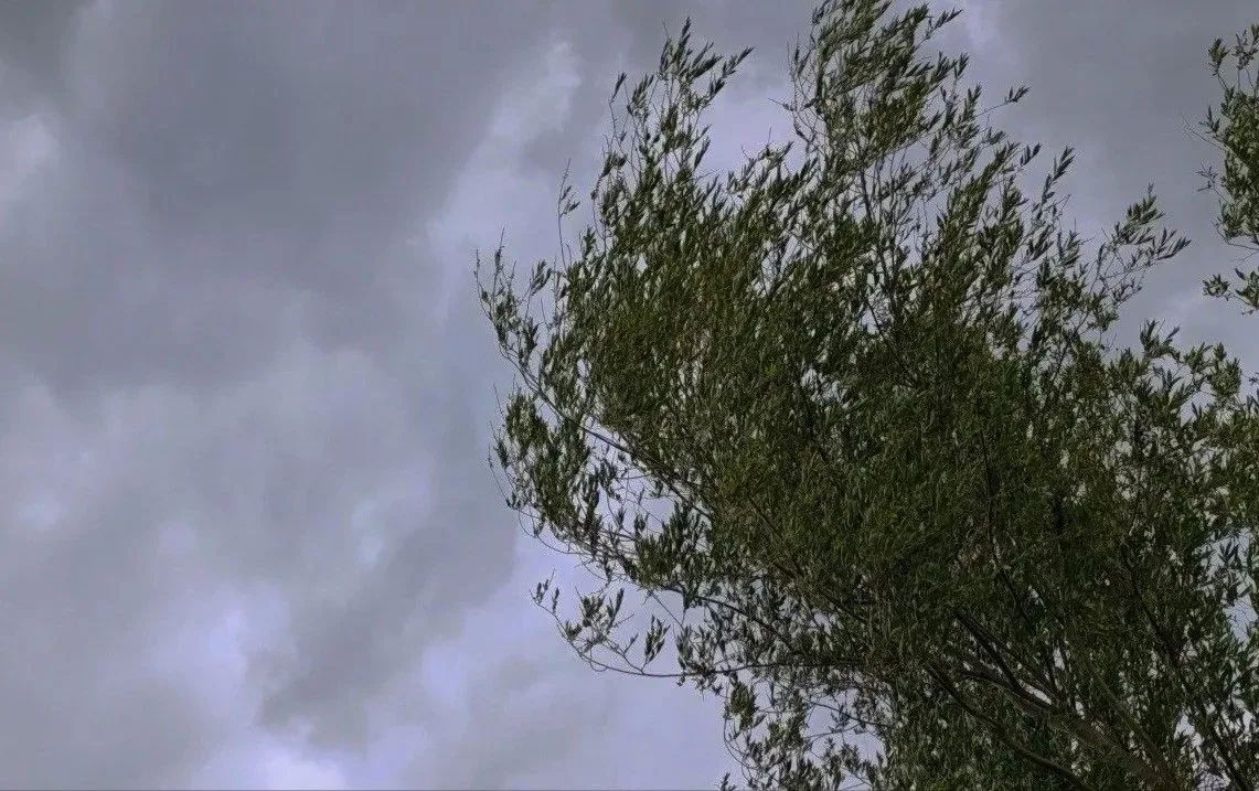 В Самарской области — желтый уровень погодной опасности