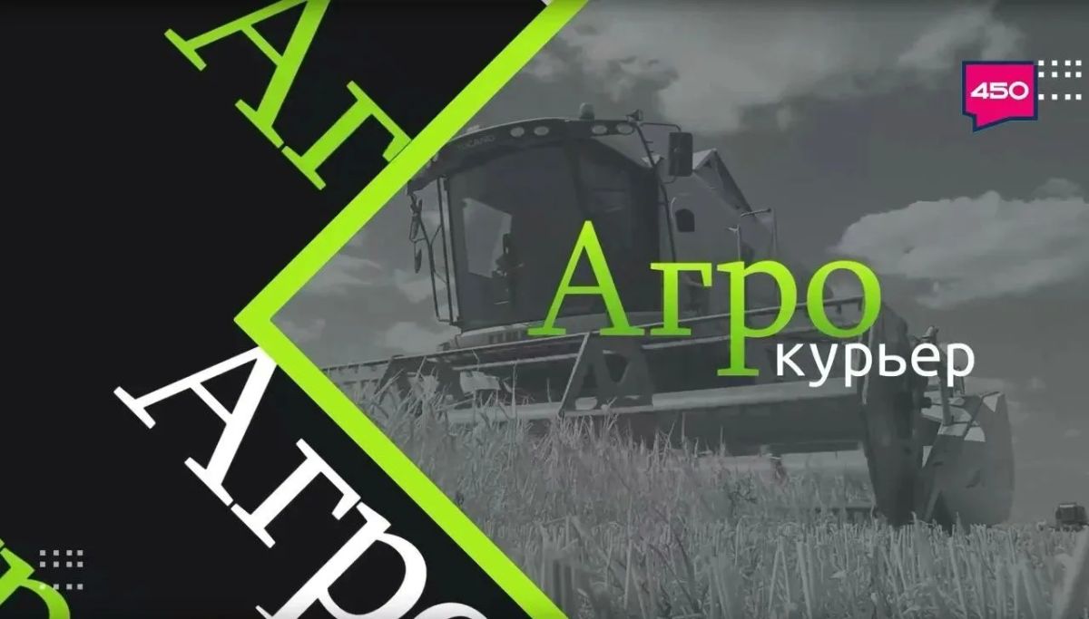 Новый островок детства с безопасностью и комфортом