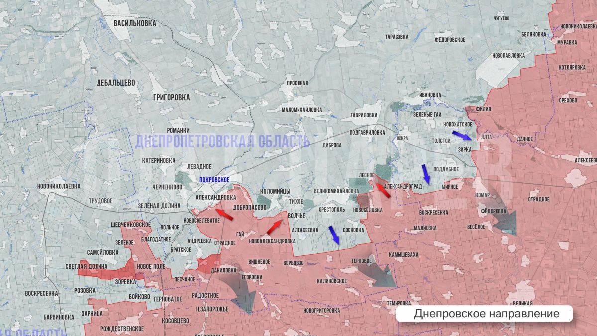 Олег Царёв: Фронтовая сводка 10 октября Олег Царёв: Фронтовая сводка 10 октября