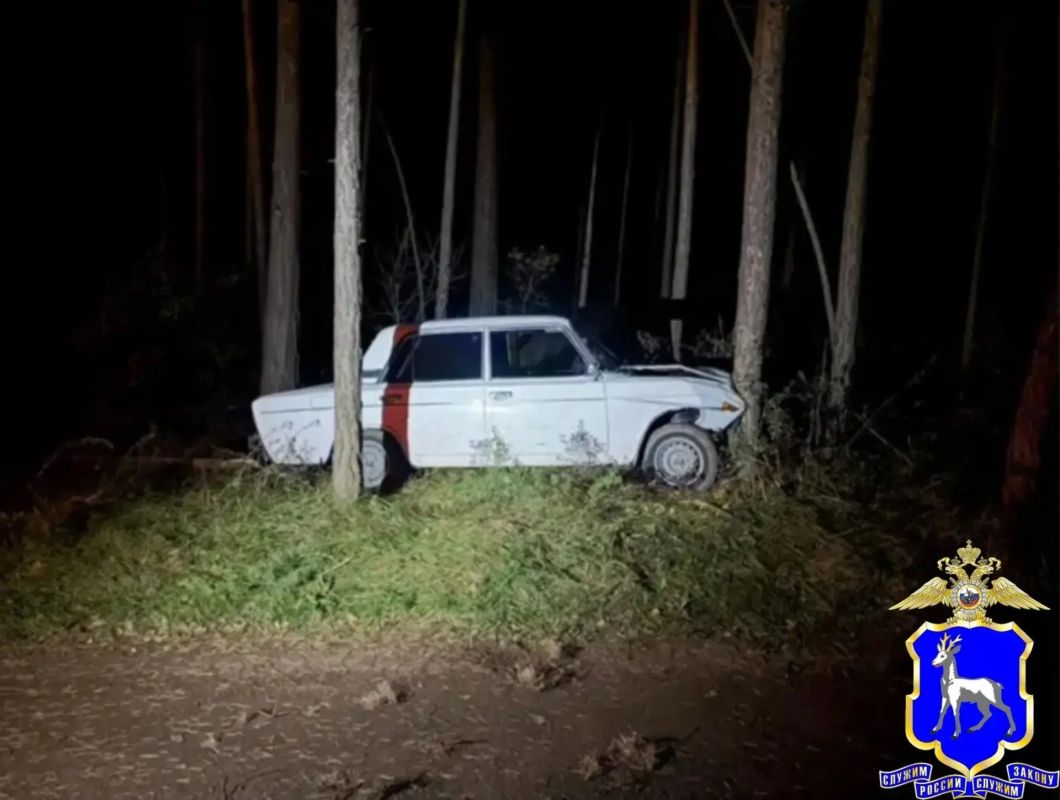 Пьяный наездник «шестёрки» устроил ночной переполох в лесу под Самарой