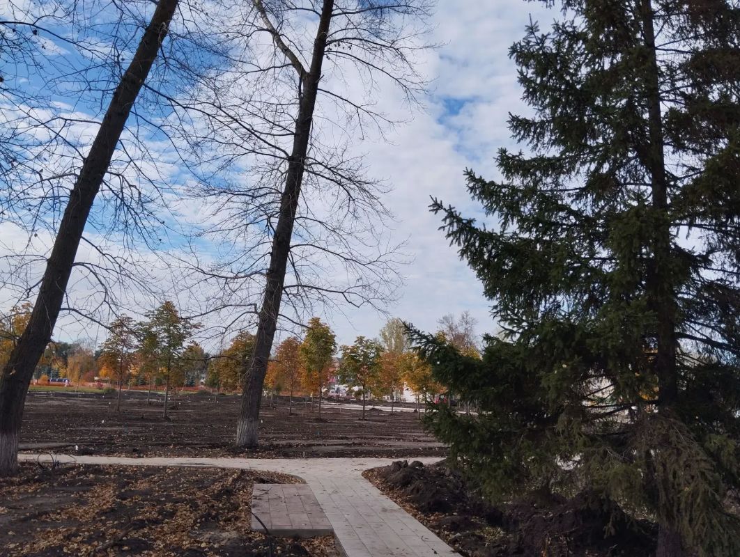 Преображение Парка Центрального района Преображение Парка Центрального района