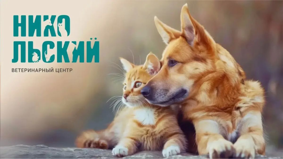 РОЗЫГРЫШ для хозяев пушистых, хвостатых и усатых!