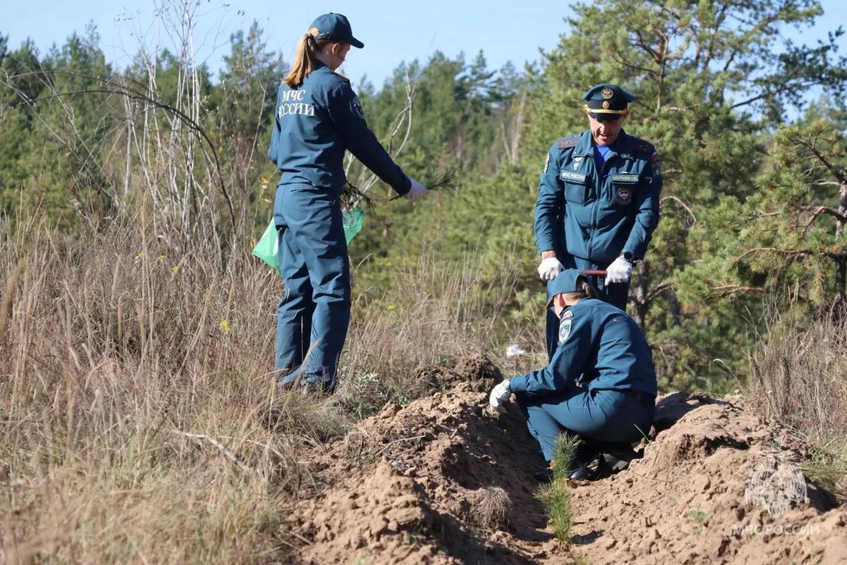 «Сотрудники МЧС России внесли вклад в восстановление леса — и отметили 185 летие Самарской пожарной охраны» «Сотрудники МЧС России внесли вклад в восстановление леса — и отметили 185 летие Самарской пожарной охраны»