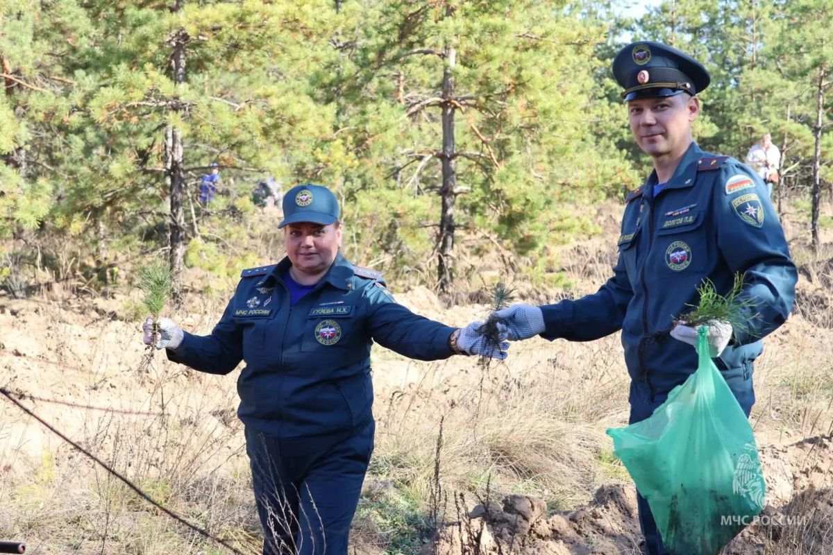 «Сотрудники МЧС России внесли вклад в восстановление леса — и отметили 185 летие Самарской пожарной охраны» «Сотрудники МЧС России внесли вклад в восстановление леса — и отметили 185 летие Самарской пожарной охраны»