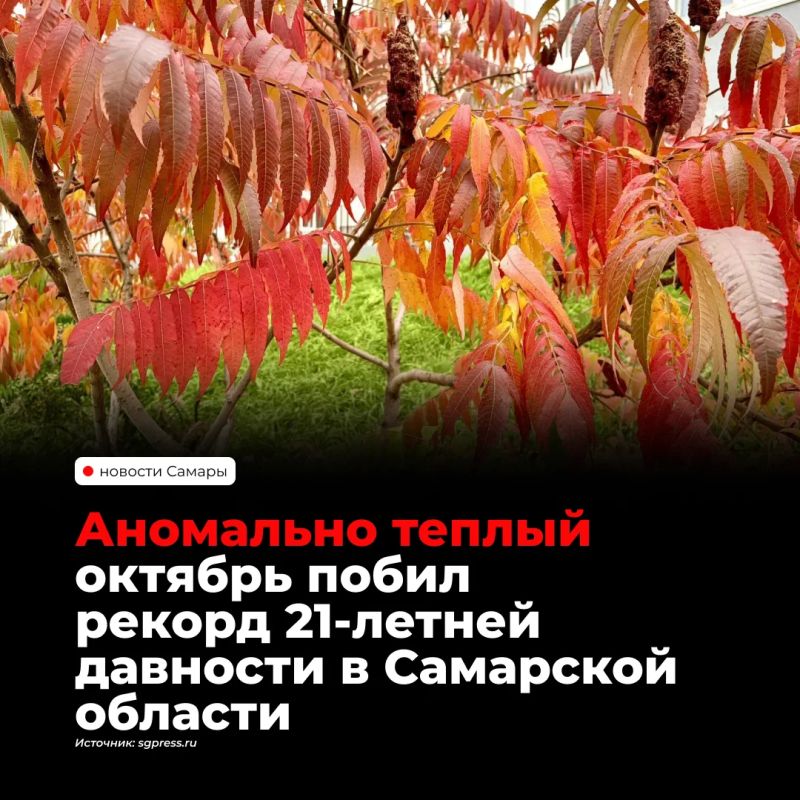 17 октября в Самарской области побили два температурных рекорда, державшихся с 2005 года