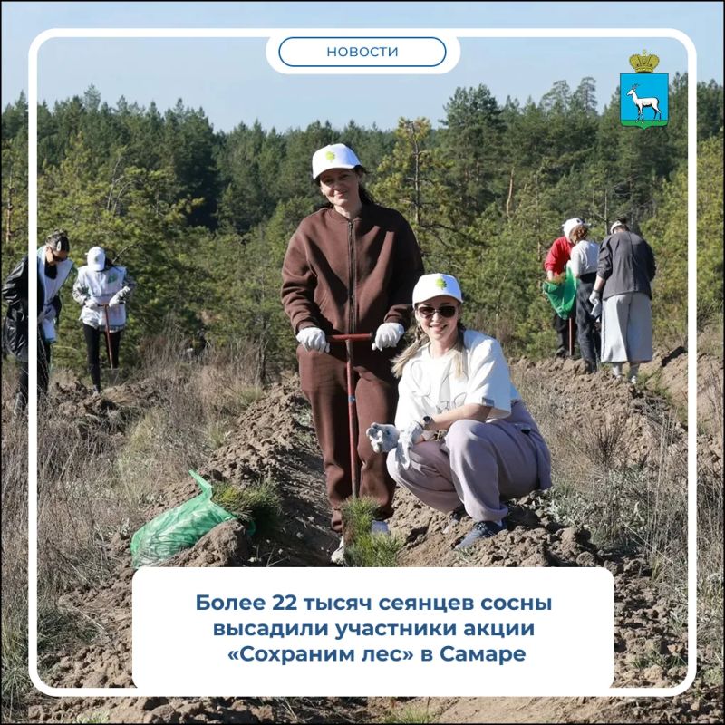 В поселке Прибрежном около 300 добровольцев приняли участие в восстановлении Задельненского бора