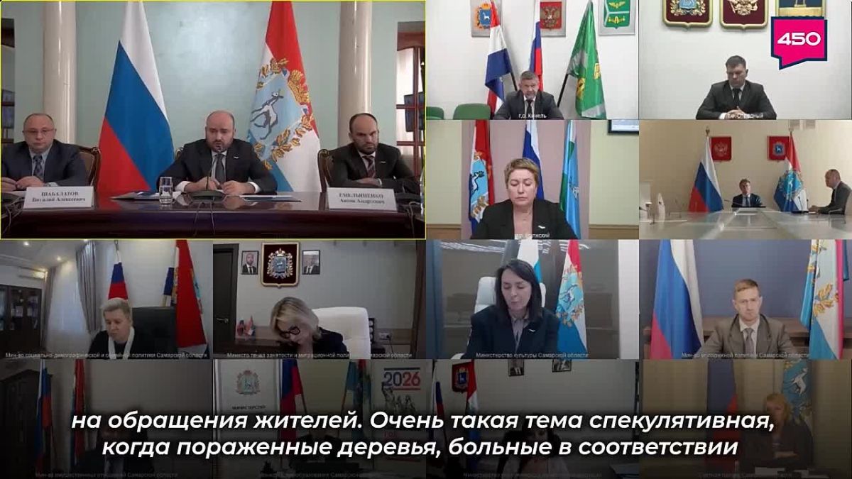 В ходе оперативного совещания обсудили вопросы благоустройства территорий, в том числе сохранность насаждений