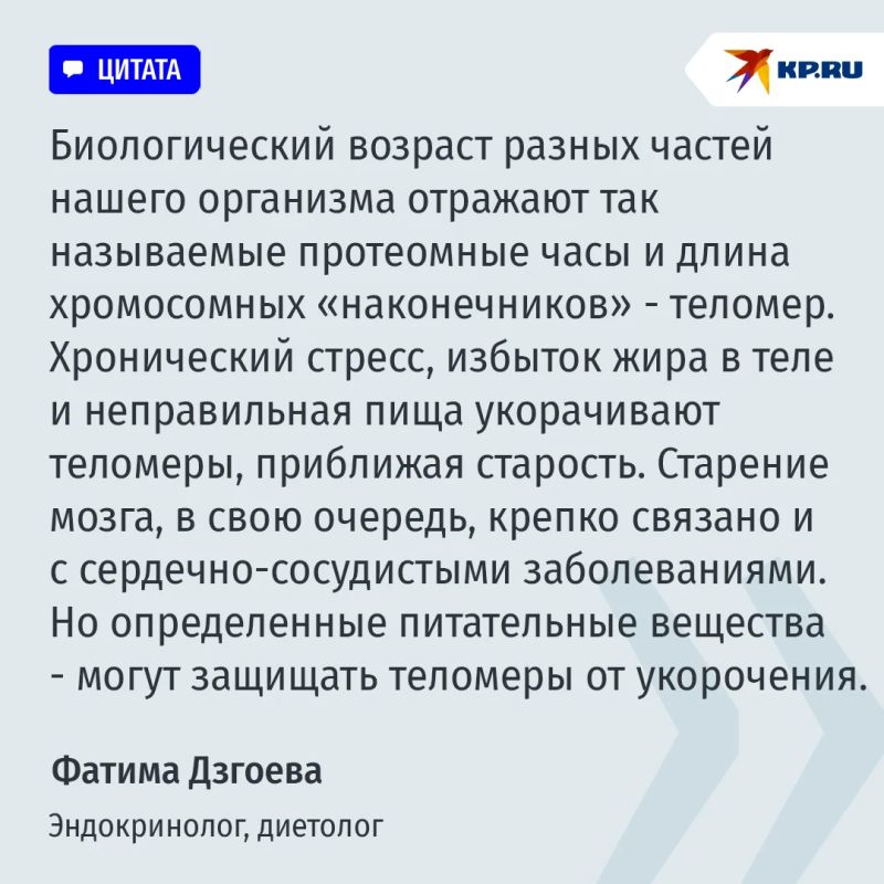 Формула ясного ума: ученые определили лучший рацион для замедления старения мозга Формула ясного ума: ученые определили лучший рацион для замедления старения мозга