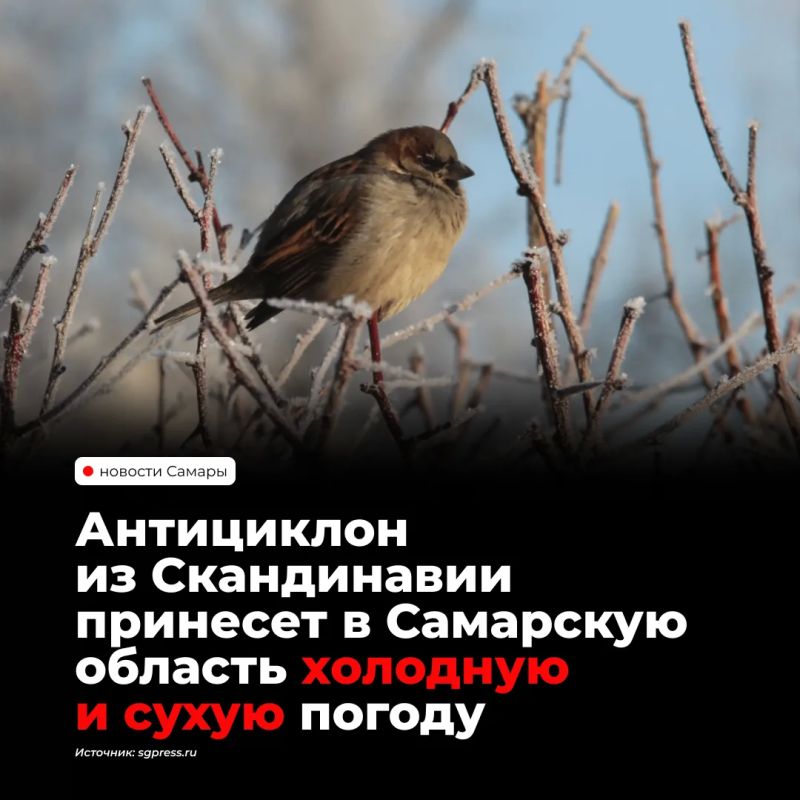 С 20 по 23 октября в Самарской области ожидается холодная, солнечная и сухая погода из-за антициклона со Скандинавии