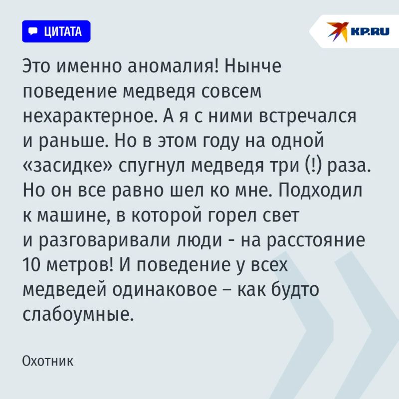 Медведь с голодухи поймал и сожрал рысь: одуревшие от бескормицы хищники творят в тайге беспредел Медведь с голодухи поймал и сожрал рысь: одуревшие от бескормицы хищники творят в тайге беспредел