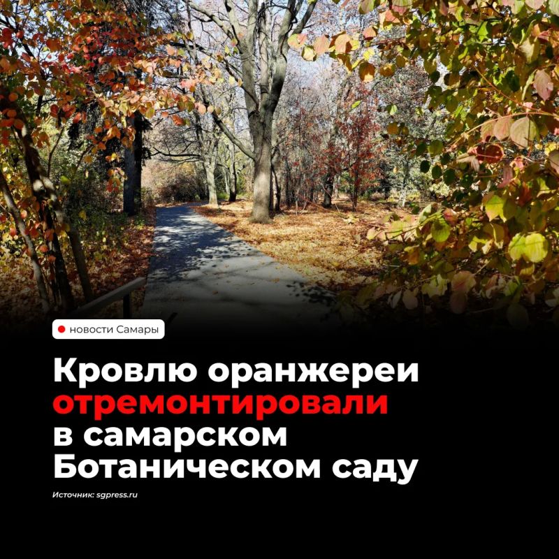 В оранжерее Ботанического сада Самарского университета завершили ремонт кровли стоимостью 9,49 млн рублей
