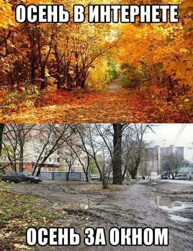 То самое чувство, когда попал под дождь, а любимая обувь насквозь промокла