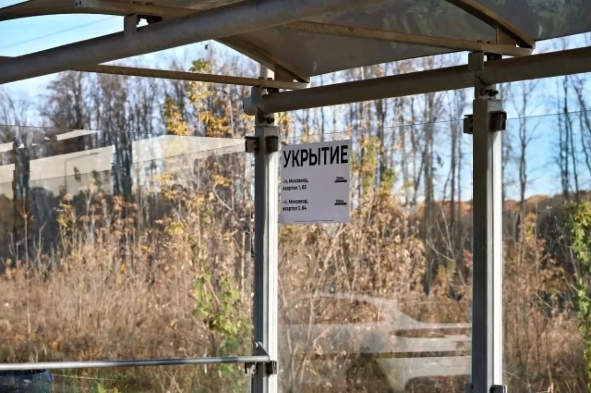 Итоги 22 октября в Самаре. Арест чиновника, свёкла с кадмием, адреса убежищ