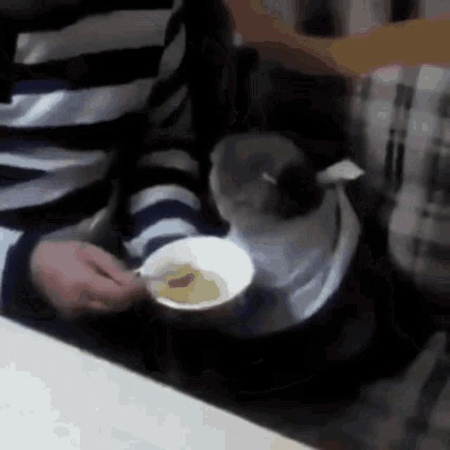 Самарский студент создал полезный суп со сроком хранения пять лет!