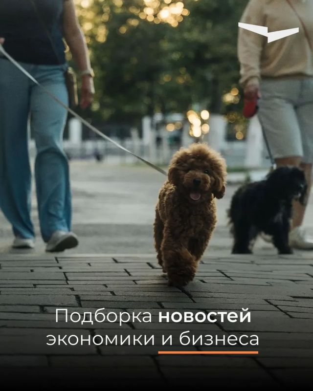 От такси до нейросетей: На чем зарабатывают самозанятые