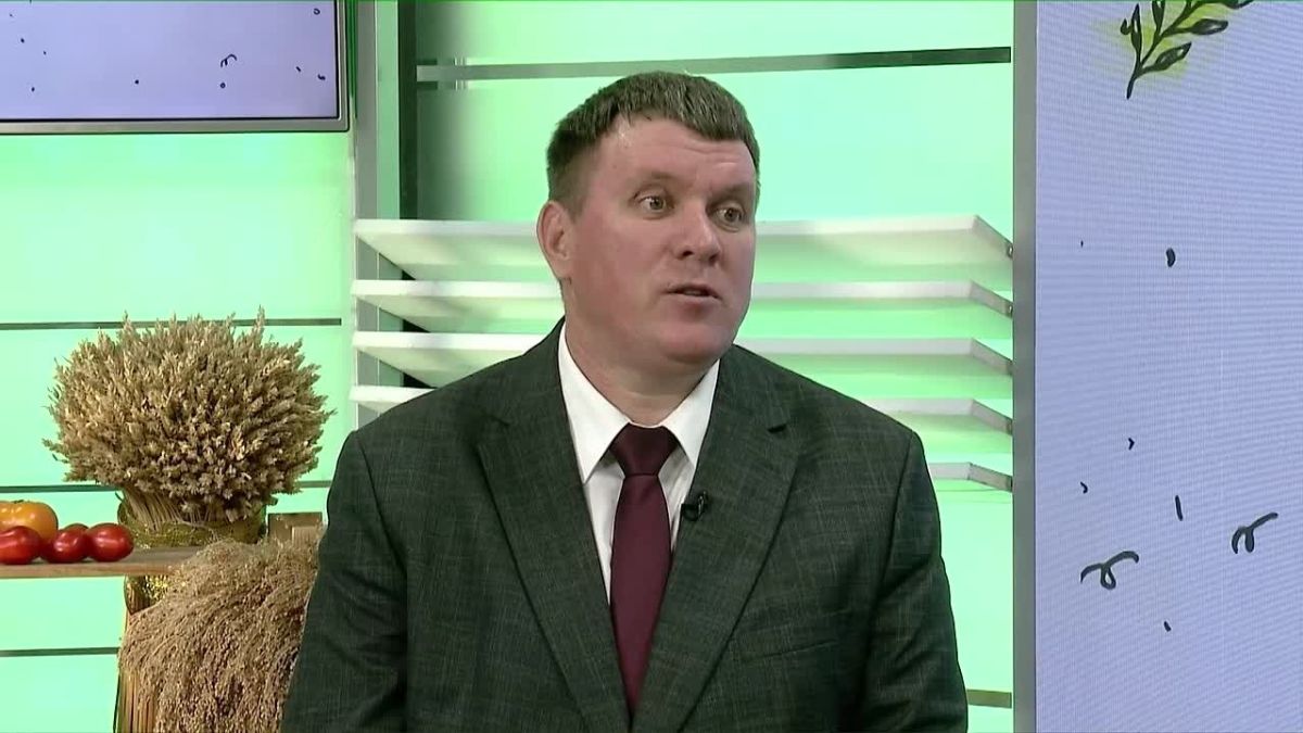 Облик сельских территорий меняется – благодаря нацпроекту «Технологическое обеспечение продовольственной безопасности»