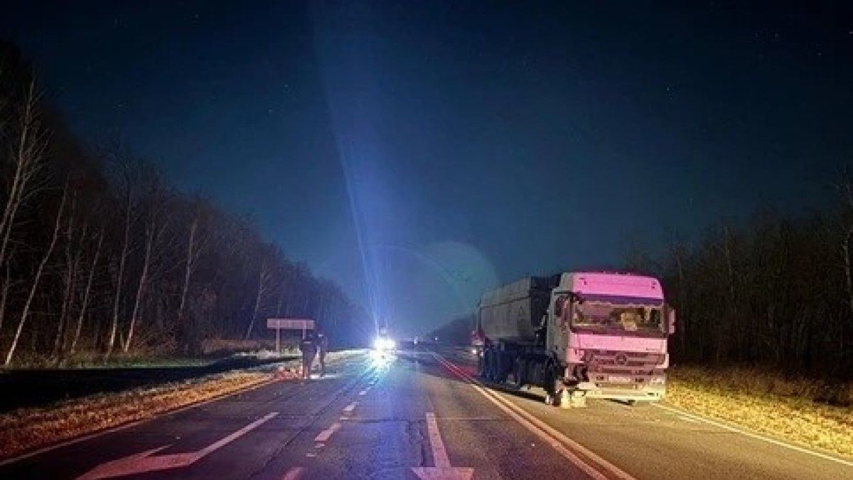Под Самарой фура сбила двух пешеходов