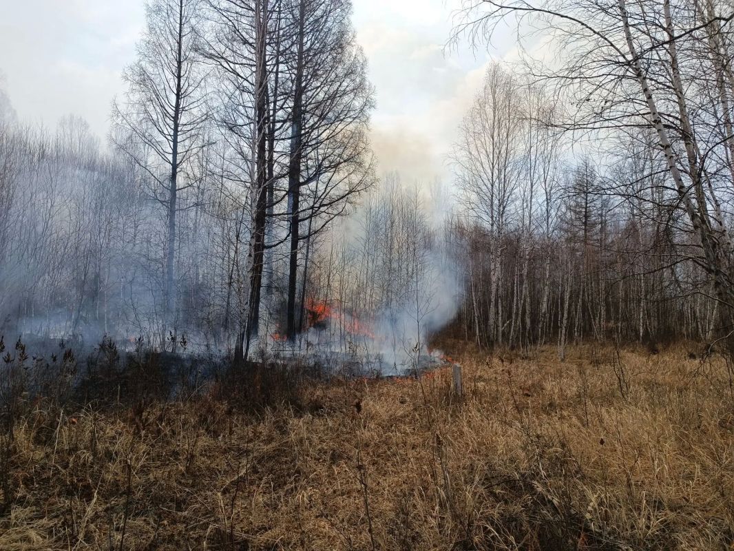 В Самарской области до 2 ноября сохранится высокая пожарная опасность лесов