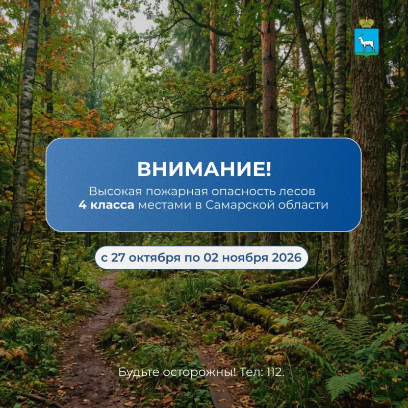 С 27 октября по 02 ноября в Самарской области местами объявлена высокая пожарная опасность лесов 4 класса